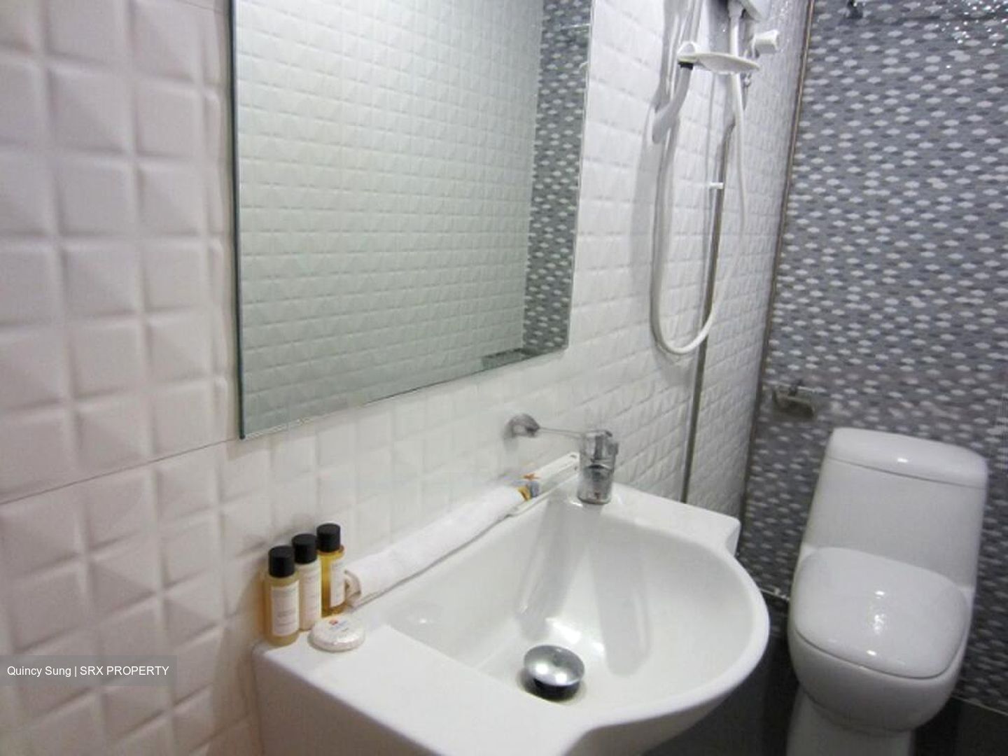 Parc Oasis (D22), Condominium #498808711